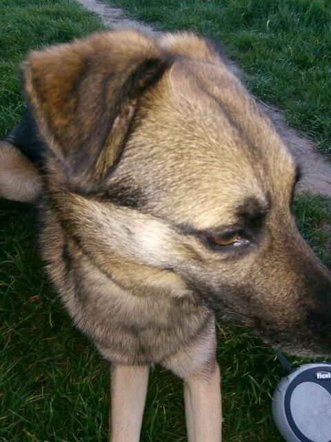 kommt zu nah ans Handy beim Bilder machen !!