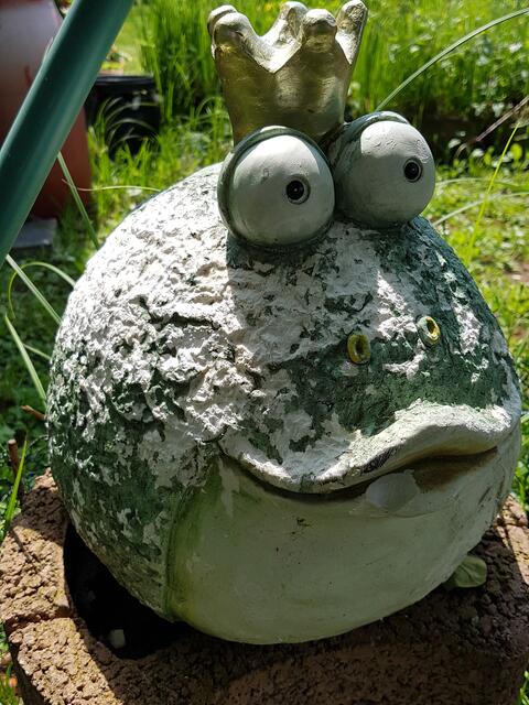 Den alten Froschkönig geschenkt bekommen, aber er muß noch frisch gestrichen werden !