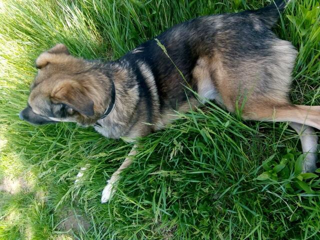 immer aufmerksam bleibend