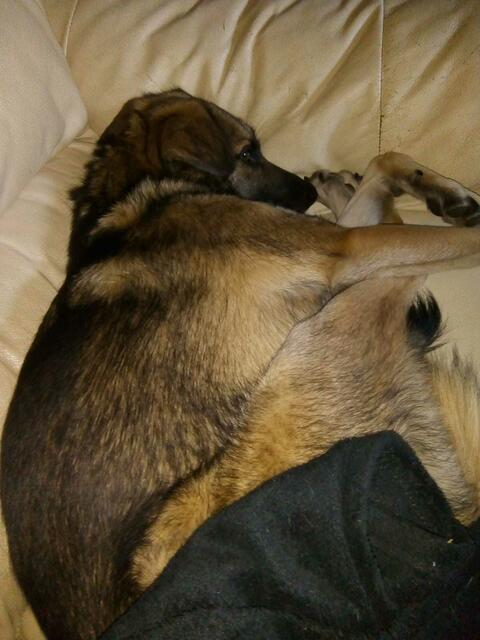 gleich schläft er ein !