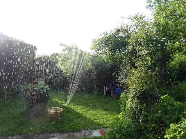 Jetzt aber in den Garten der Regen lässt leider auf sich warten.