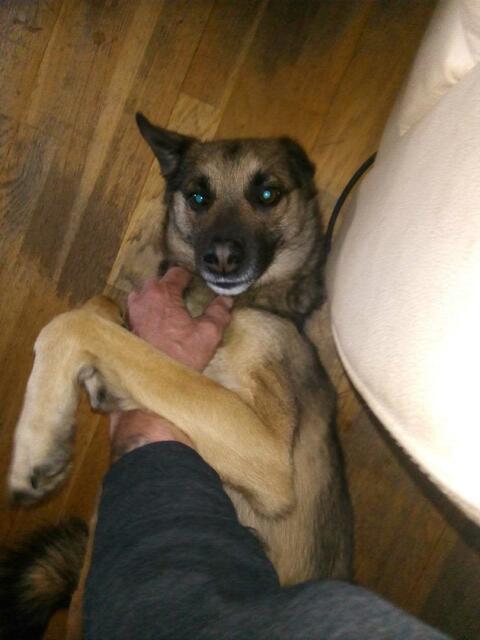 er schaut als ob er lächelt ??