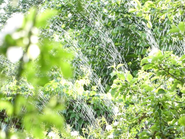 Wasser marsch