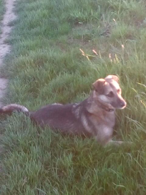 gibt immer was zu sehen !