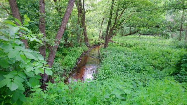 Natur pur an der Jürse