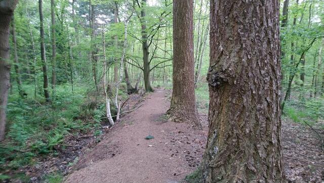 Der Waldlehrpfad