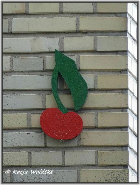 Kirsche an der Schloßwender Straße in Hannover - Mitte (Foto: Katja Woidtke)