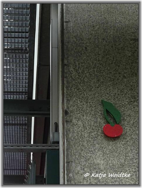 Kirsche in der Körnerstraße in Hannover - Mitte (Foto: Katja Woidtke)