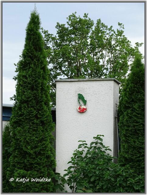 Kirsche in der Liepmannstraße in Hannover - Linden-Nord (Foto: Katja Woidtke)