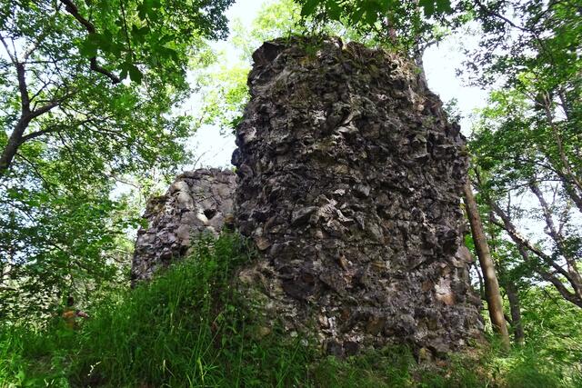 Ruine der Heinrichsburg