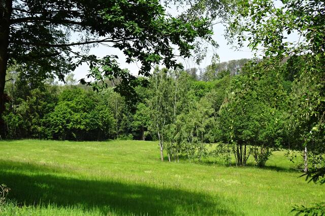 im Krebsbachtal