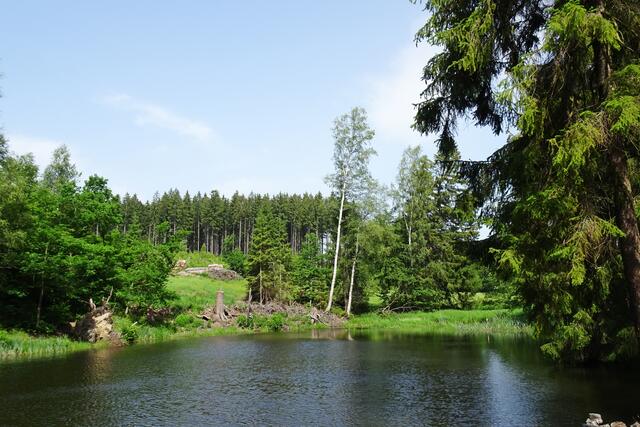 Krebsbachteich