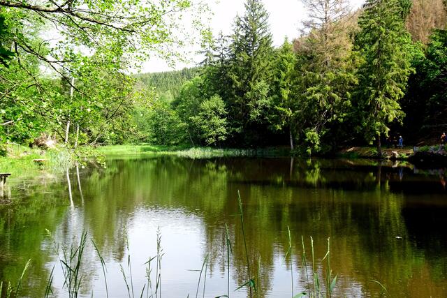 Krebsbachteich