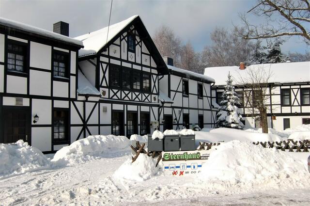 Winter Februar 2010  Sternhaus