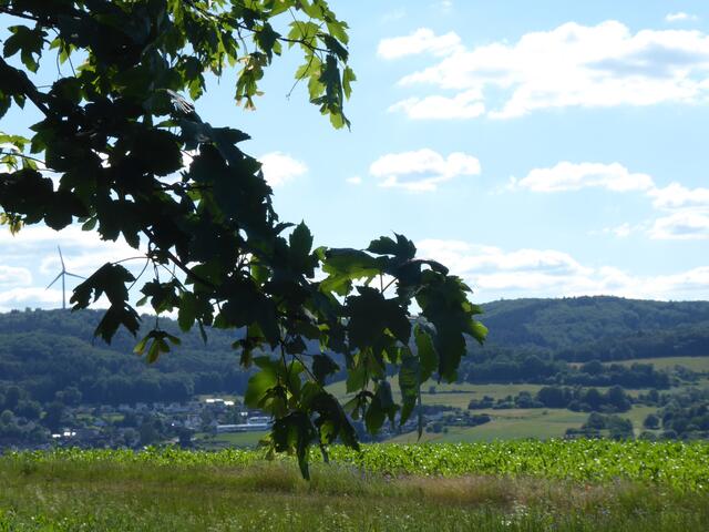 Blick nach Holzhausen