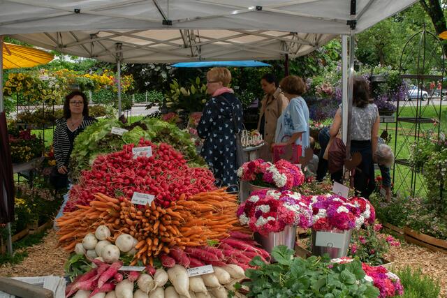 Friedberger Sonnwend Töpfermarkt 2019