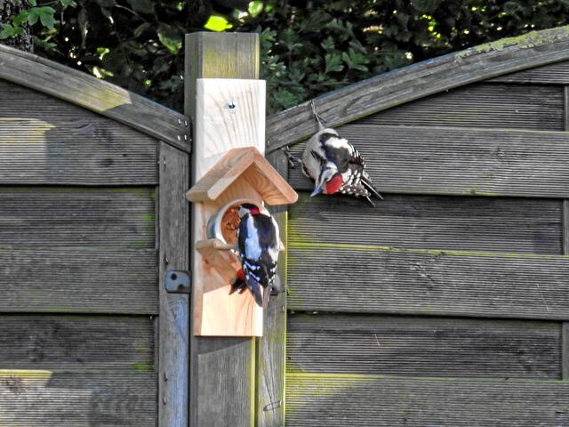 °Verdammt, er glaubt es mir nicht!°°