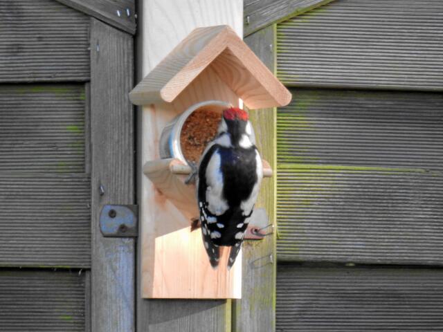 °°Nach diesem Stress hab ich doppelten Hunger°°!