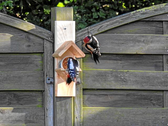 °°Na warte, du bekommst jetzt Prügel!°°