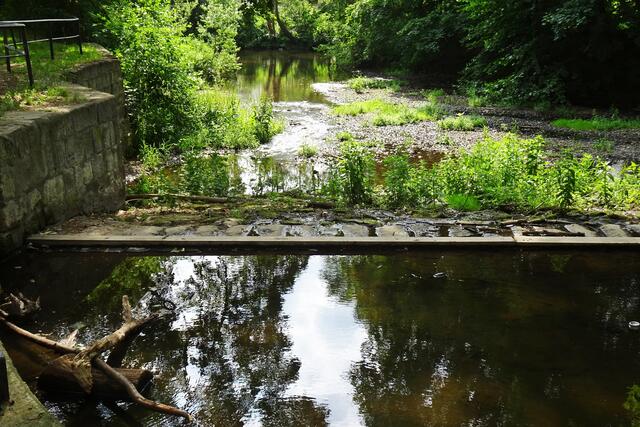 Mühlgraben mit extrem geringer Wasserführung