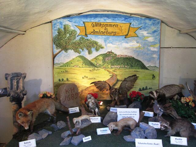 In einem Schaugewölbe am Schloss begrüßt der Heimat- und Verkehrsverein Amöneburg e.V. Besucher auch akustisch und vermittelt dort wichtige Informationen zur Stadt und ihrer Natur. ﻿
