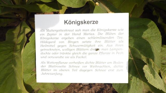 Dazu gehört auch der Märchengarten der sehr interessant angelegt wurden ist !