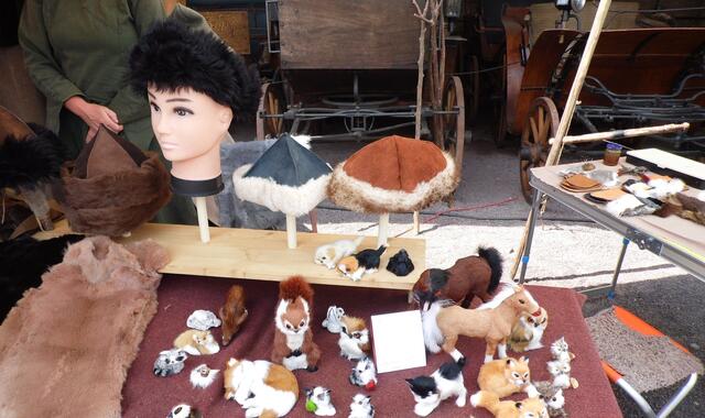 Das Querfurter Burgfest ist das größte Historienspektakel seiner Art im Saalekreis. Ein Besuch lohnt sich !