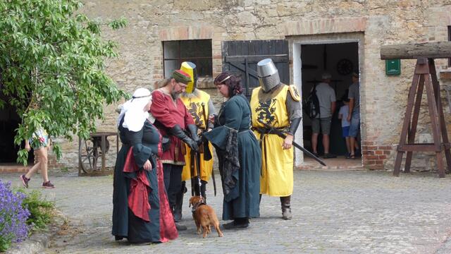 Das Querfurter Burgfest ist das größte Historienspektakel seiner Art im Saalekreis. Ein Besuch lohnt sich !