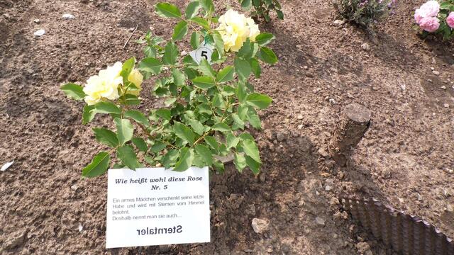 Dazu gehört auch der Märchengarten der sehr interessant angelegt wurden ist !