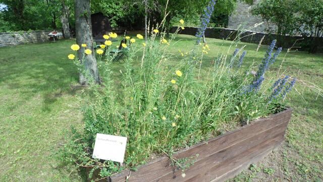 Dazu gehört auch der Märchengarten der sehr interessant angelegt wurden ist !