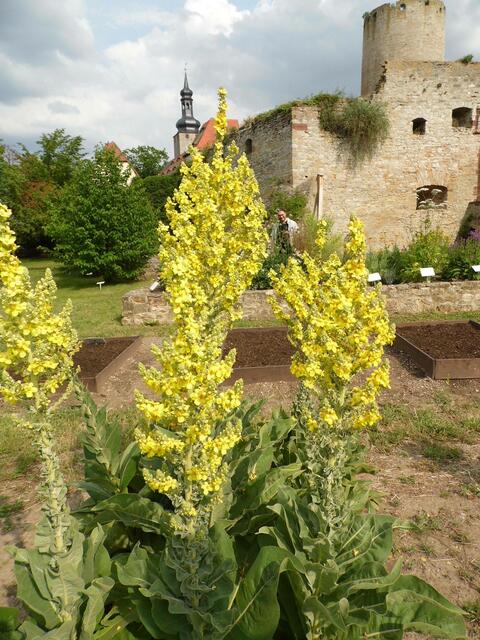 Dazu gehört auch der Märchengarten der sehr interessant angelegt wurden ist !