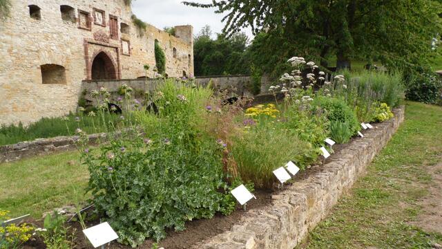Dazu gehört auch der Märchengarten der sehr interessant angelegt wurden ist !