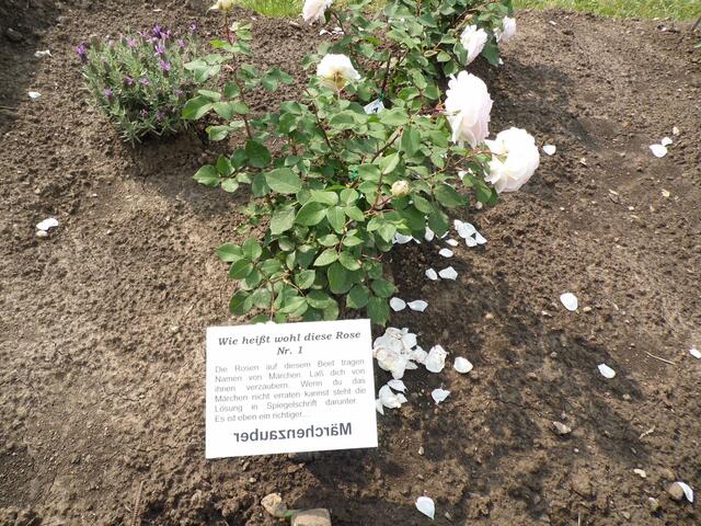 Dazu gehört auch der Märchengarten der sehr interessant angelegt wurden ist !