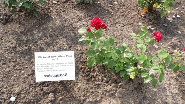 Dazu gehört auch der Märchengarten der sehr interessant angelegt wurden ist !