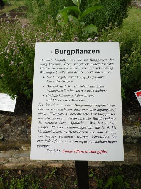 Dazu gehört auch der Märchengarten der sehr interessant angelegt wurden ist !