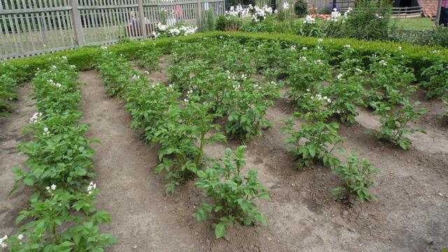 Dazu gehört auch der Märchengarten der sehr interessant angelegt wurden ist !