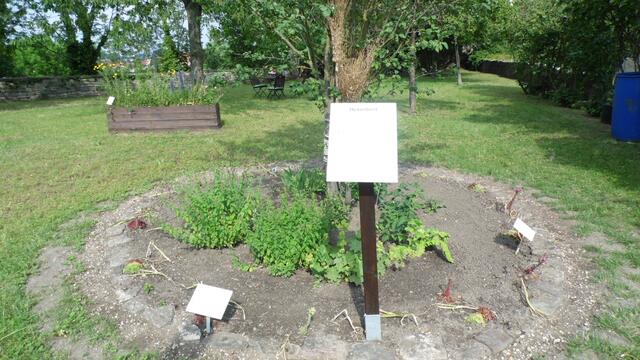 Dazu gehört auch der Märchengarten der sehr interessant angelegt wurden ist !