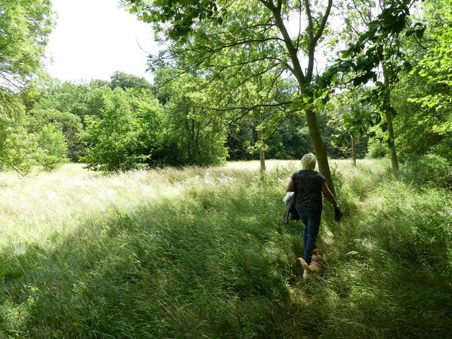 Abgemähte Wiesen sehen irgendwie anders aus!