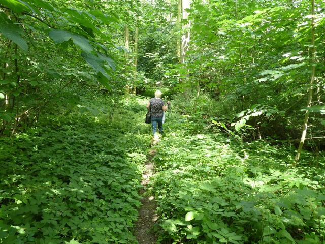 Man kann den Weg eigentlich nur noch erahnen...