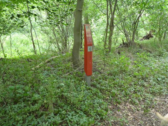 Viele der Infosäulen stehen inmitten von Unkraut und Brennnesseln  und sind vermoost.