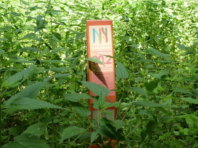 Vorsicht Brennnessel