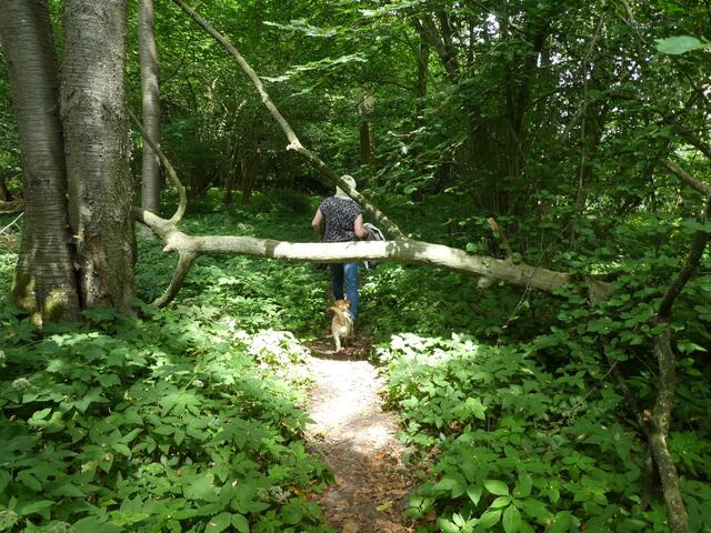 Hürde Nr. 8 geschafft, ein tatsächlicher Naturerlebnispfad
