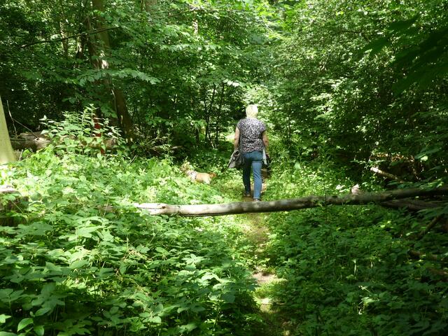 Fast schon zugewachsener Rundweg.