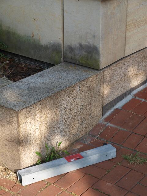 gibt es hier Ratten?