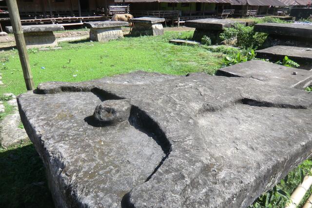 Aus den Kindern der Urschildkröte und des Krokodils wurden die ersten Menschen