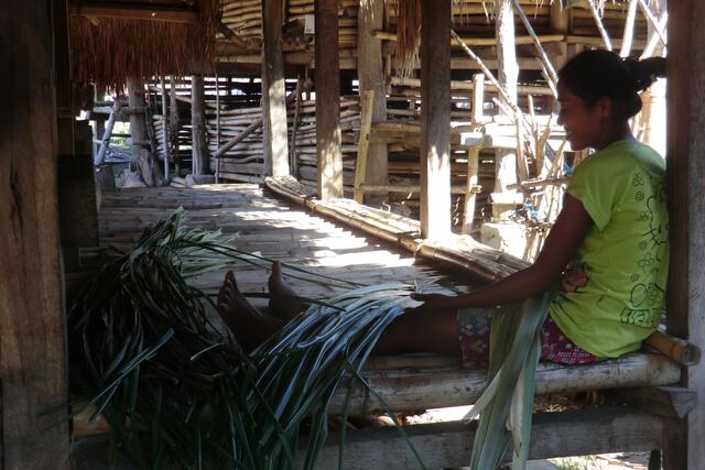 Für Matten nimmt sie die Blätter der Rispenpalme