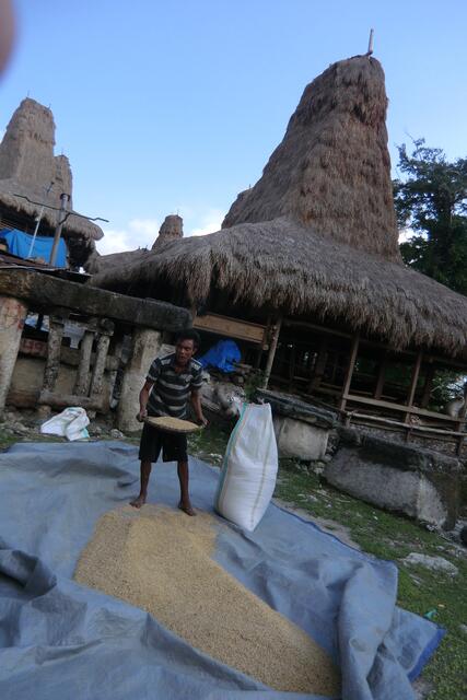 Hier im Dorf, wo der vorhandene Platz durch die Steingrüfte weitgehend belegt ist, findet sich kaum  ein Plätzchen zum Säubern des gedroschenen Reises von Spelzen und zum Trocknen.