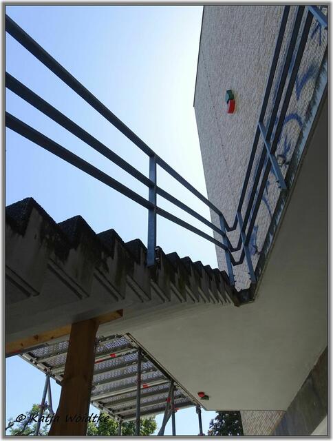 Kirschen am Audimax der Leibniz-Uni Hannover - Nordstadt (Foto: Katja Woidtke)