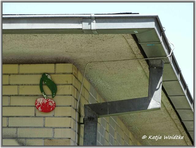 Kirsche im Welfengarten Hannover - Nordstadt (Foto: Katja Woidtke)