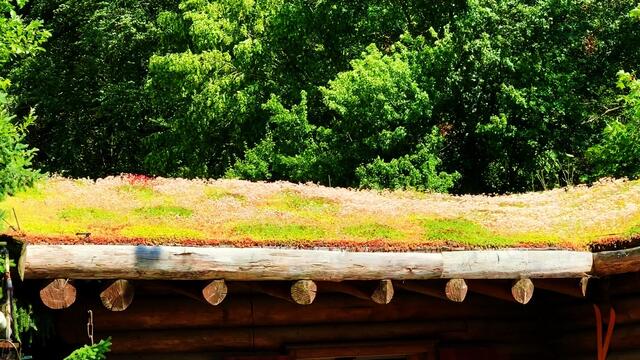 1. Juli 2019. Erlebnis-Zoo Hannover.